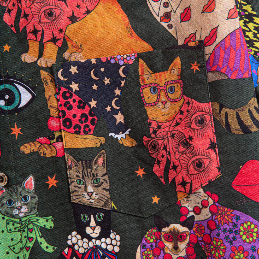 Baroque Cat