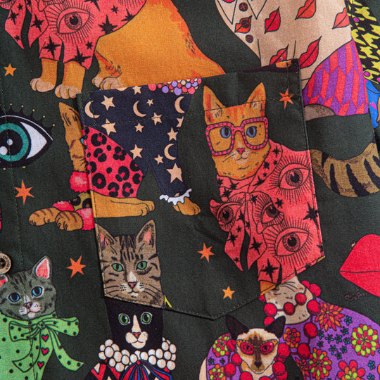 Baroque Cat